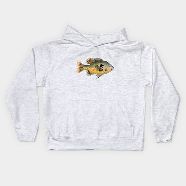 Longear Sunfish Kids Hoodie by FishFolkArt